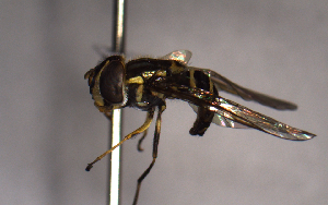  ( - MECN_EN_29580)  @11 [ ] CC-BY-NC-ND (2024) INABIO INABIO