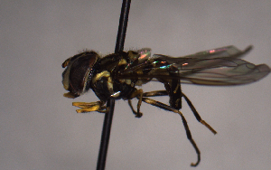  ( - MECN_EN_29587)  @11 [ ] CC-BY-NC-ND (2024) INABIO INABIO