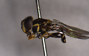  ( - MECN_EN_29589)  @11 [ ] CC-BY-NC-ND (2024) INABIO INABIO