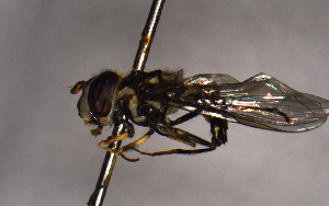  ( - MECN_EN_29590)  @11 [ ] CC-BY-NC-ND (2024) INABIO INABIO