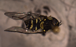  ( - MECN_EN_29590)  @11 [ ] CC-BY-NC-ND (2024) INABIO INABIO