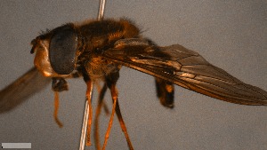  ( - MECN_EN_29596)  @11 [ ] CC-BY-NC-ND (2024) INABIO INABIO