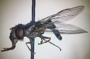  ( - MECN_EN_29811)  @11 [ ] CC-BY-NC-ND (2024) INABIO INABIO