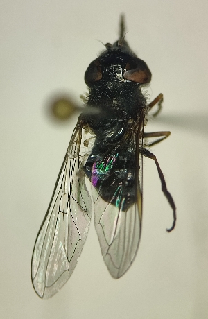  ( - MECN_EN_29811)  @11 [ ] CC-BY-NC-ND (2024) INABIO INABIO