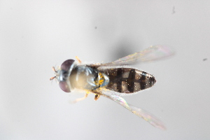  ( - MECN_EN_41645)  @11 [ ] CC-BY-NC-ND (2025) INABIO INABIO