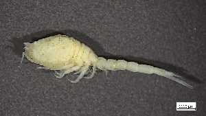  ( - CRD20-MC8SE-A024)  @11 [ ] C (2024) Tara Macdonald Biologica Environmental Services Ltd.