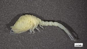  ( - CRD20-MC8SE-A025)  @11 [ ] C (2024) Tara Macdonald Biologica Environmental Services Ltd.