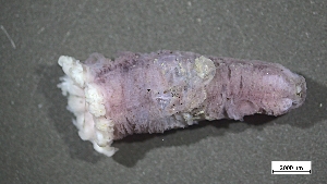  ( - EC22-PG-04-E021)  @11 [ ] C (2025) Tara Macdonald Biologica Environmental Services Ltd.