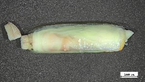  ( - HAT22-RB-M002)  @11 [ ] C (2024) Tara Macdonald Biologica Environmental Services Ltd.