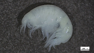  ( - HRB22-SBIS17-A017)  @11 [ ] C (2026) Tara Macdonald Biologica Environmental Services Ltd.