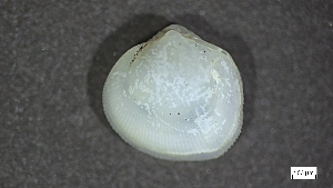  ( - MV22-IO-M003)  @11 [ ] C (2024) Tara Macdonald Biologica Environmental Services Ltd.