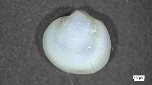  ( - MV22-IO-M005)  @11 [ ] C (2024) Tara Macdonald Biologica Environmental Services Ltd.