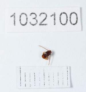  ( - BGE_00661_F10)  @11 [ ] (nrr) (2025) Ana Ananiashvili ISU