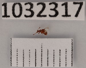  ( - BGE_00661_H05)  @11 [ ] (nrr) (2025) Ana Ananiashvili ISU