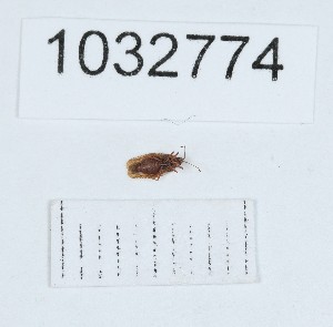  ( - BGE_00662_D07)  @11 [ ] (nrr) (2025) Ana Ananiashvili ISU