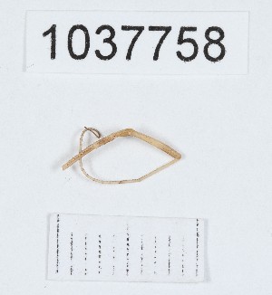  (Opilio Opiliio_Goygol_sp - BGE_00667_C10)  @11 [ ] (nrr) (2024) Ana Ananiashvili ISU