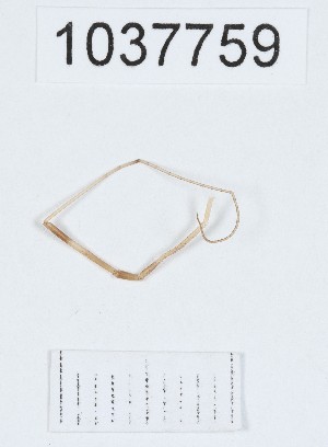  ( - BGE_00667_C11)  @11 [ ] (nrr) (2024) Ana Ananiashvili ISU