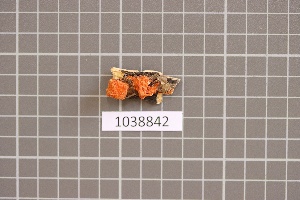  ( - BGE_00688_G01)  @11 [ ] No Rights Reserved (2024) Unspecified Ilia State University, Institute of Ecology