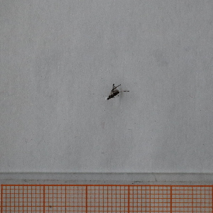  ( - VV1_2_Dip_02)  @11 [ ] CreativeCommons  Attribution Non-Commercial Share-Alike (2023) Unspecified University of Lodz