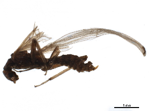  ( - 08BKEPT-118)  @11 [ ] CreativeCommons - Attribution (2019) CBG Photography Group Centre for Biodiversity Genomics