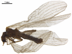  ( - 08BKEPT-119)  @11 [ ] CreativeCommons - Attribution (2019) CBG Photography Group Centre for Biodiversity Genomics