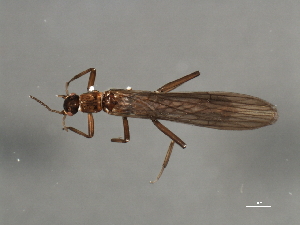  ( - 08BKEPT-294)  @12 [ ] CreativeCommons - Attribution (2008) CBG Photography Group Centre for Biodiversity Genomics