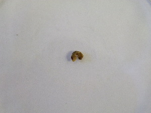  ( - PTH_2017_154_9_1)  @12 [ ] CreativeCommons  Attribution (by) (2019) Jamie Weir University of Edinburgh