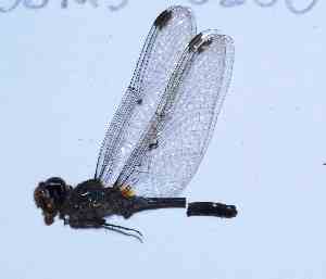  ( - BNBTO-0200)  @11 [ ] Unspecified (default): All Rights Reserved  Unspecified Unspecified
