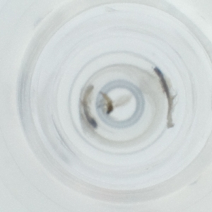  ( - NHMG_083_G7)  @11 [ ] by  Genome Research Ltd as Wellcome Sanger Institute Genome Research Limited operating as Wellcome Sanger Institute