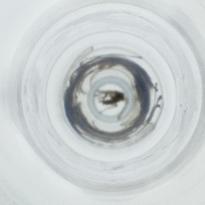  ( - NHMG_085_B6)  @11 [ ] by  Genome Research Ltd as Wellcome Sanger Institute Genome Research Limited operating as Wellcome Sanger Institute