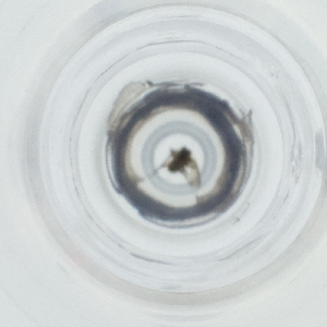  ( - NHMG_085_E9)  @11 [ ] by  Genome Research Ltd as Wellcome Sanger Institute Genome Research Limited operating as Wellcome Sanger Institute