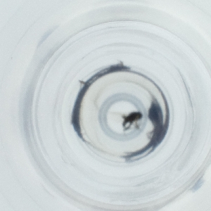  ( - NHMG_090_G6)  @11 [ ] by  Genome Research Ltd as Wellcome Sanger Institute Genome Research Limited operating as Wellcome Sanger Institute