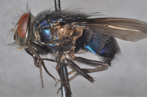  ( - TLW054)  @12 [ ] Copyright (2011) Terry L. Whitworth Washington State University