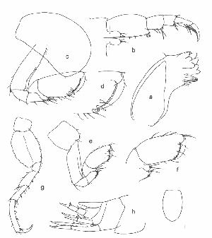  ( - MT03107)  @12 [ ] CreativeCommons - Attribution Share-Alike (1979) Roger Lincoln British Museum of Natural History