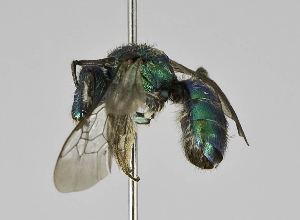 ( - B1397-B04)  @13 [ ] CreativeCommons - Attribution Non-Commercial Share-Alike (2010) Packer Collection at York University York University