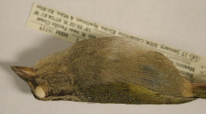  ( - MBM 14059)  @13 [ ] Unspecified (default): All Rights Reserved  Unspecified Unspecified