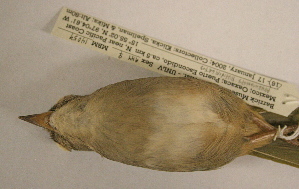  ( - MBM 14059)  @13 [ ] Unspecified (default): All Rights Reserved  Unspecified Unspecified