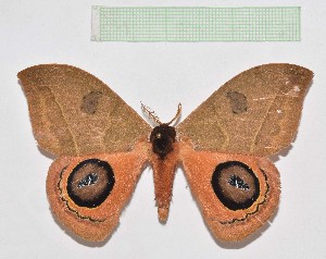  ( - CAR_030)  @11 [ ] Copyright (2023) Andrea Jimenez Universidad del Atlantico