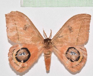  ( - CAR_031)  @11 [ ] Copyright (2023) Andrea Jimenez Universidad del Atlantico