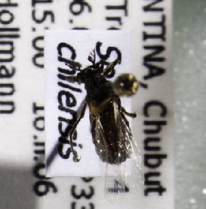  ( - CCDB-09856 G11)  @12 [ ] CreativeCommons - Attribution Non-Commercial Share-Alike (2012) Packer Collection York University York University