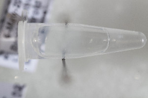  ( - CCDB-34571 D06)  @11 [ ] CreativeCommons - Attribution by Laurence Packer (2020) Laurence Packer York University