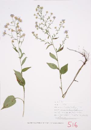  ( - UD 034)  @11 [ ] Copyright (2009) Steven Newmaster University of Guelph BIO Herbarium
