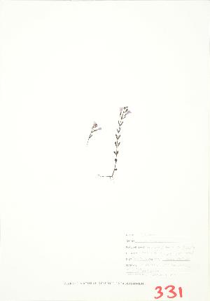  ( - JEM 083B)  @11 [ ] Copyright (2009) Steven Newmaster University of Guelph BIO Herbarium