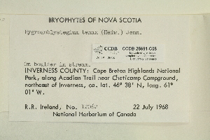  ( - CCDB-25691-C05)  @11 [ ] CreativeCommons - Attribution Non-Commercial Share-Alike (2018) Masha L. Kuzmina Canadian Centre for DNA Barcoding