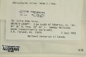  ( - CCDB-25691-D10)  @11 [ ] CreativeCommons - Attribution Non-Commercial Share-Alike (2018) Masha L. Kuzmina Canadian Centre for DNA Barcoding