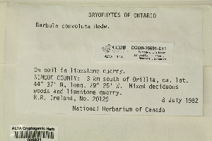  ( - CCDB-25691-D11)  @11 [ ] CreativeCommons - Attribution Non-Commercial Share-Alike (2018) Masha L. Kuzmina Canadian Centre for DNA Barcoding