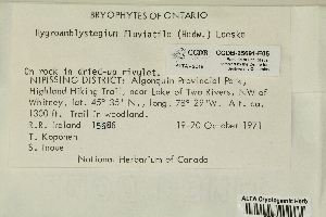  ( - CCDB-25691-E05)  @11 [ ] CreativeCommons - Attribution Non-Commercial Share-Alike (2018) Masha L. Kuzmina Canadian Centre for DNA Barcoding
