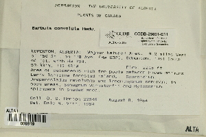  ( - CCDB-25691-E11)  @11 [ ] CreativeCommons - Attribution Non-Commercial Share-Alike (2018) Masha L. Kuzmina Canadian Centre for DNA Barcoding