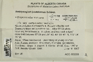  ( - CCDB-25691-F01)  @11 [ ] CreativeCommons - Attribution Non-Commercial Share-Alike (2018) Masha L. Kuzmina Canadian Centre for DNA Barcoding