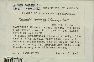  ( - CCDB-25691-G12)  @11 [ ] CreativeCommons - Attribution Non-Commercial Share-Alike (2018) Masha L. Kuzmina Canadian Centre for DNA Barcoding